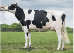 Mère WILDER HONIG 91