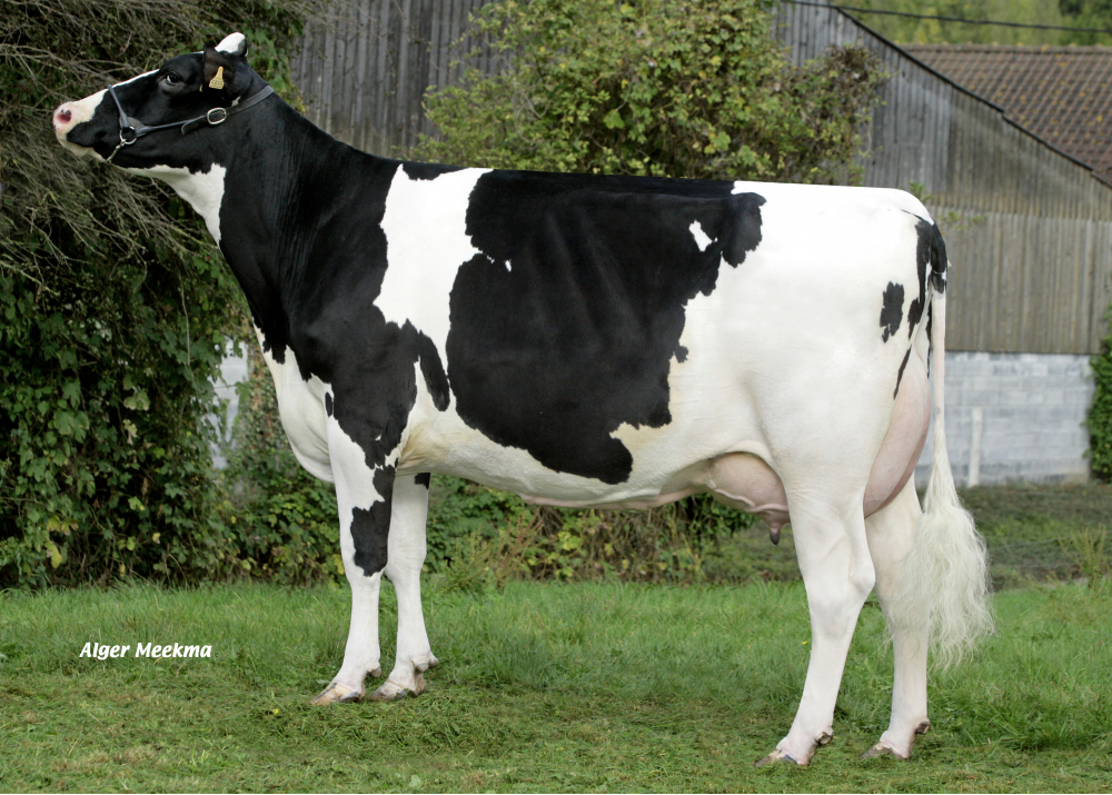 Fille 1558 Fille 1558