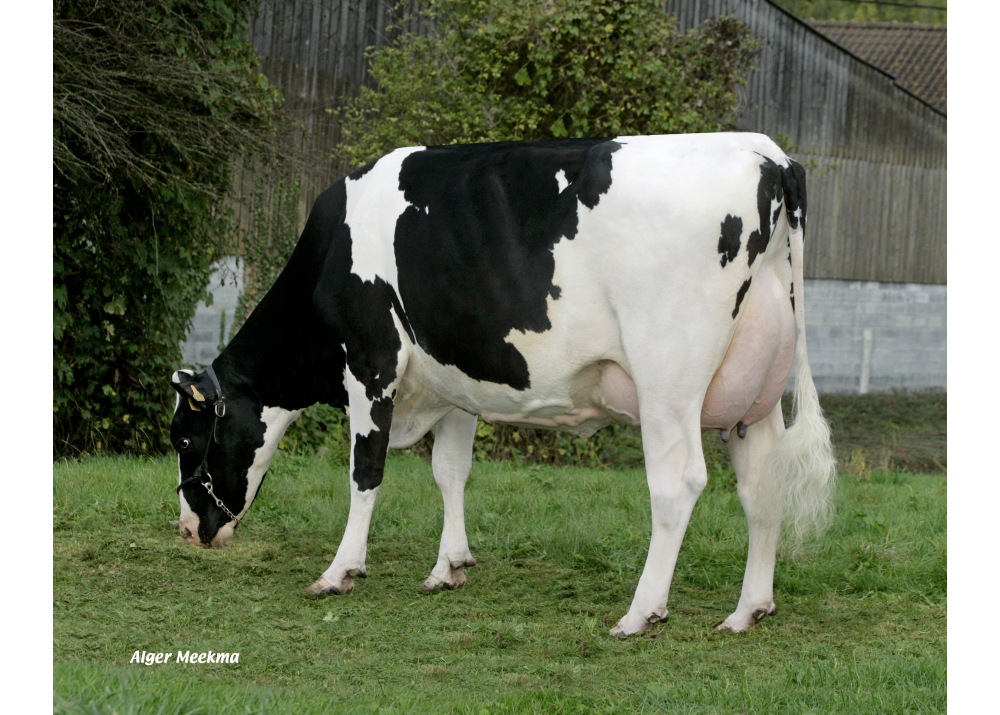 Fille 1558 Fille 1558