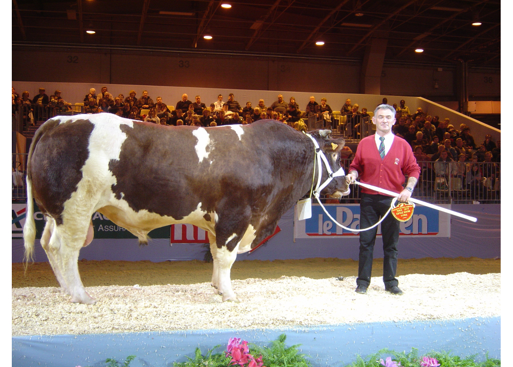 COTON - GPM de OEILLET GD
1er prix SIA Paris 2010