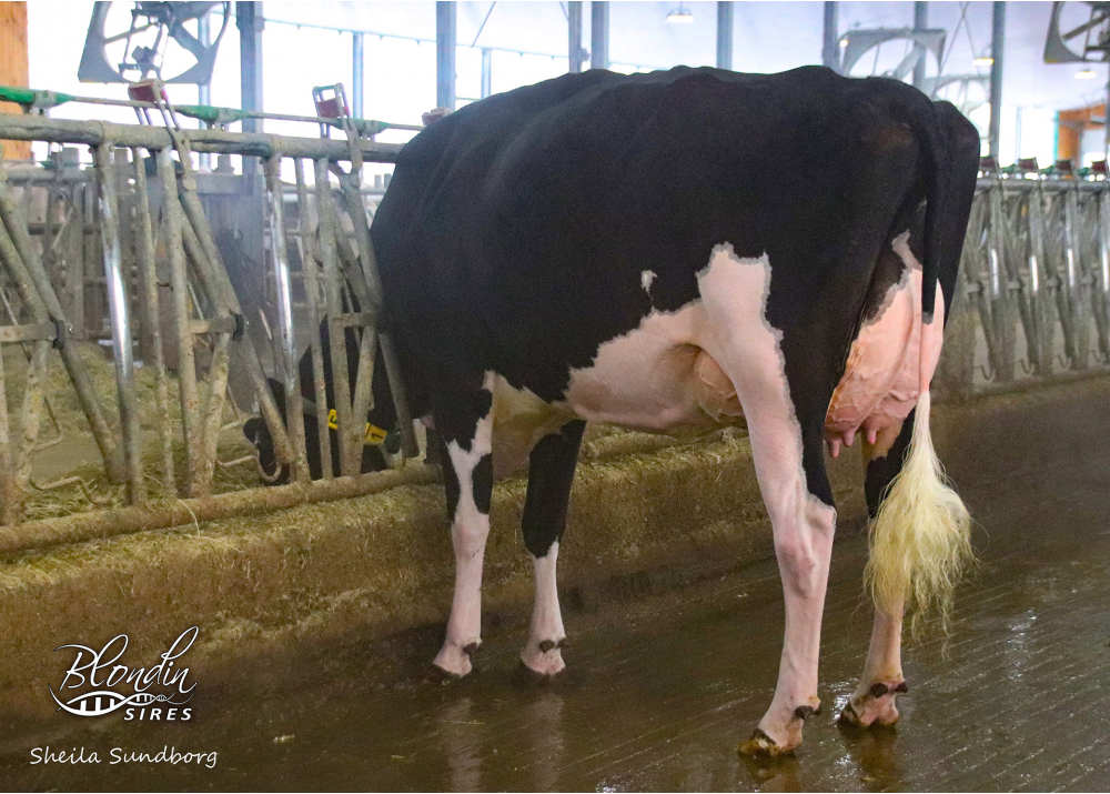 Legendairy, mère de LEGEND BLO