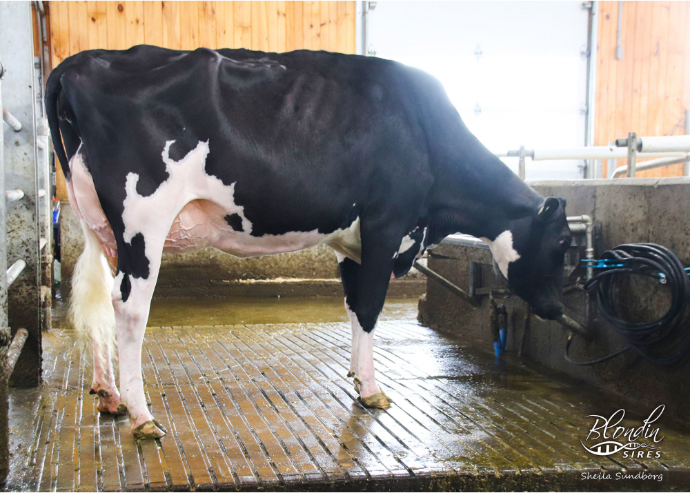 Legendairy, mère de LEGEND BLO