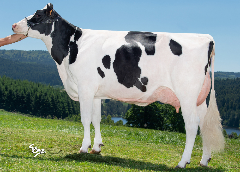 Nancy Helix Altaleaf, mère de SPACE Nancy Helix Altaleaf, mère de SPACE