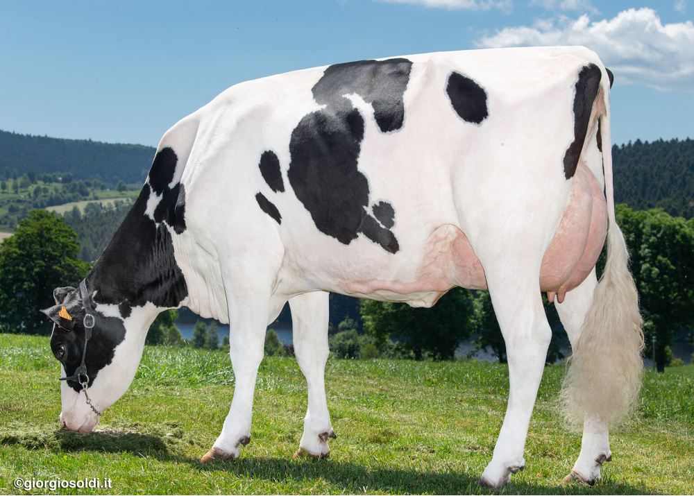 Nancy Helix Altaleaf, mère de SPACE Nancy Helix Altaleaf, mère de SPACE