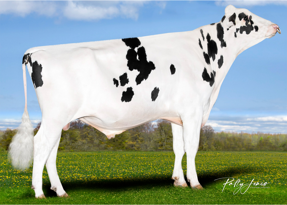 RIGHT STUF RIGHT STUF