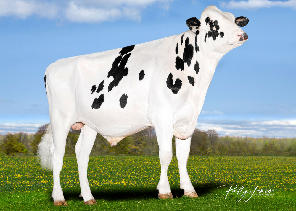 RIGHT STUF RIGHT STUF