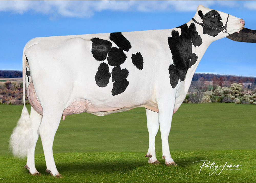 It Takes P, mère de RIGHT STUFF It Takes P, mère de RIGHT STUFF