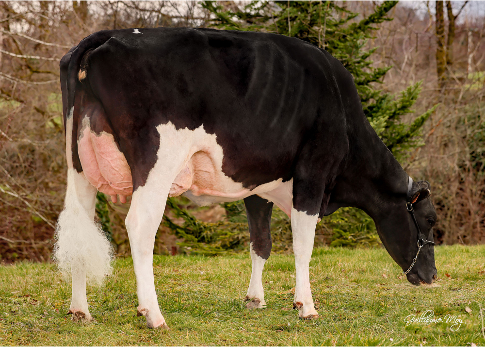 Serena, mère de UTELO Serena, mère de UTELO