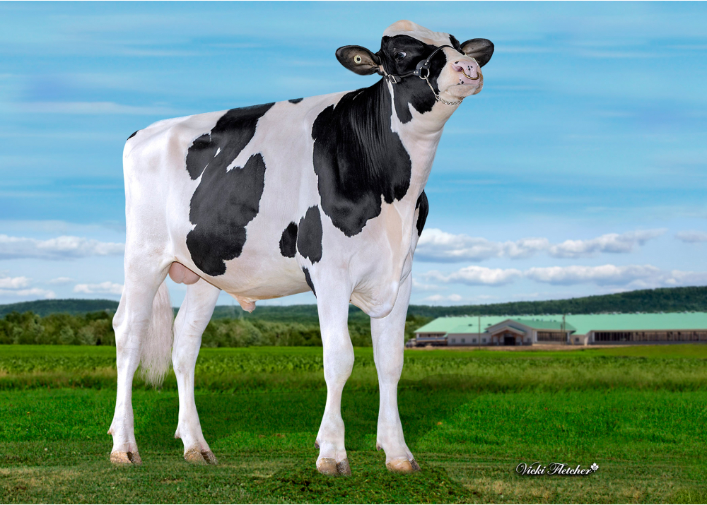 DEPOSIT BL DEPOSIT BL