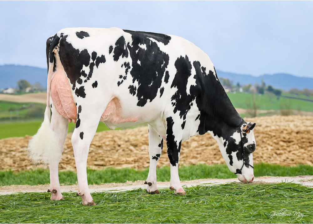 Ultrablue, fille de SUPERMAN