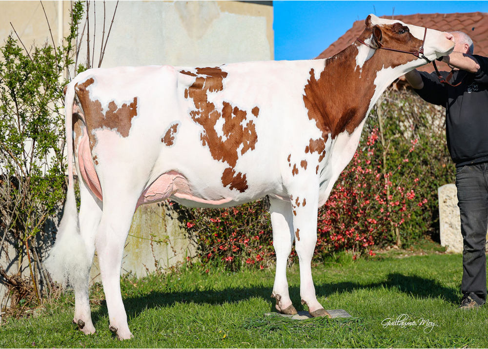 Vicky Red - Fille de STO RED P