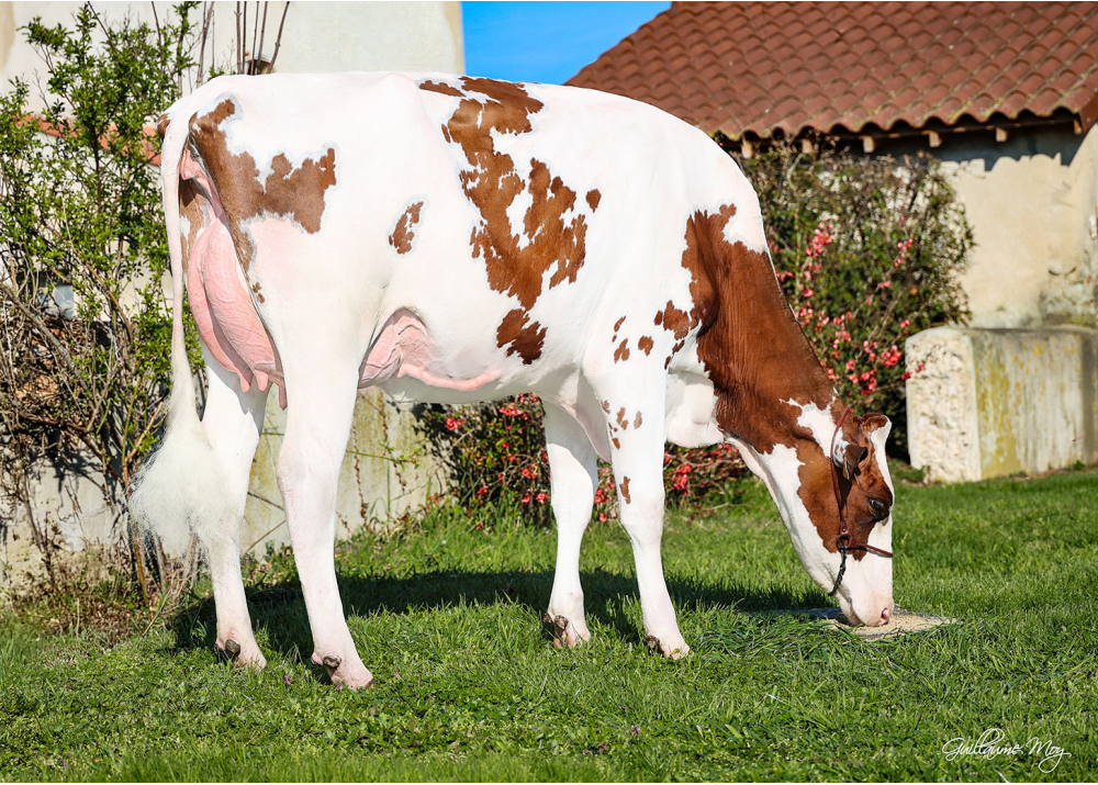 Vicky Red - Fille de STO RED P