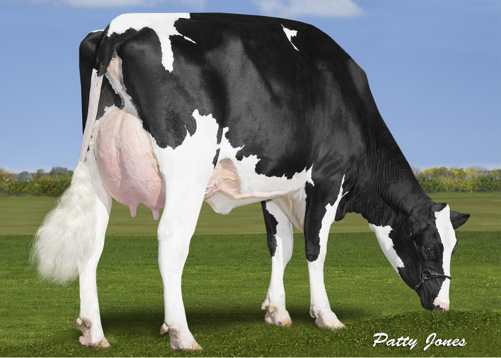 POWERBALL Langley VG 85, mère de LABATT