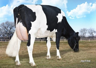 Morningview Super Roxy Ex 90, 4ème mère de SAGE Red