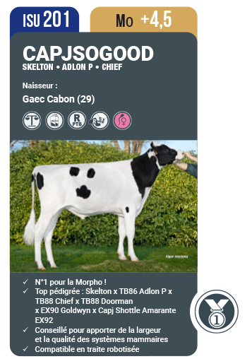 CAPJSOGOOD - Segment Morpho - Index holstein Avril 2023