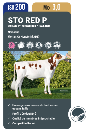 STO RED P - Segment Red - Index holstein Avril 2023