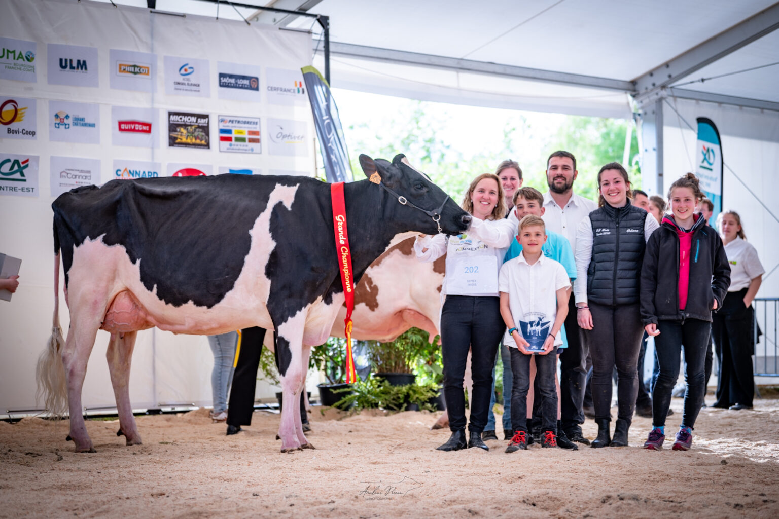 Tyna De La Sigraie (Thunderstorm x Unix Crot) – Gaec Js2L (71)