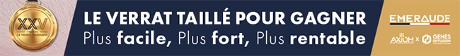 XXV, le verrat taillé pour gagner