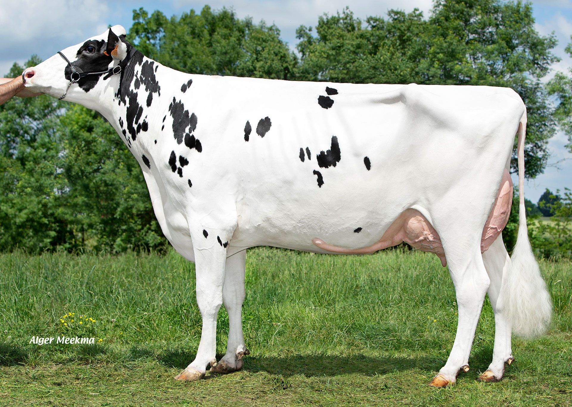 Photo de Soane, sa mère de VIRCOMAN