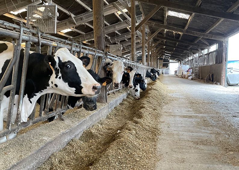 GAEC de la Hautefeuille