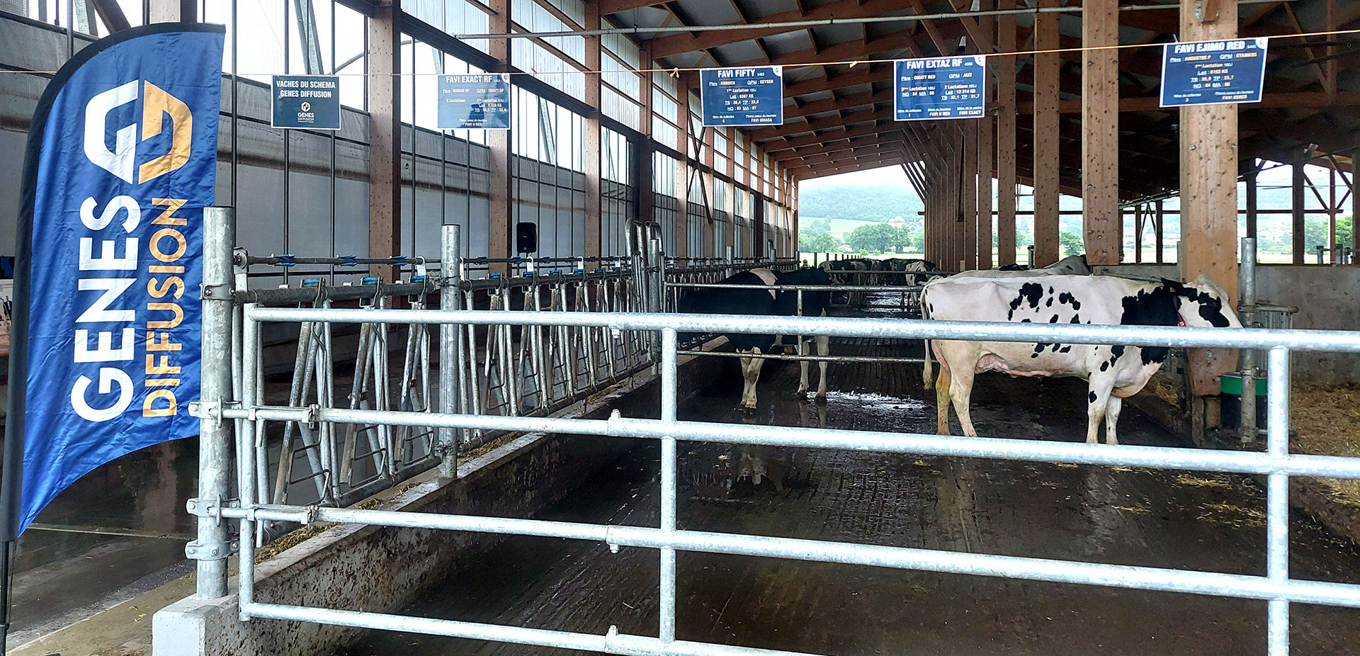 Stand Gènes Diffusion à la Ferme des Délices