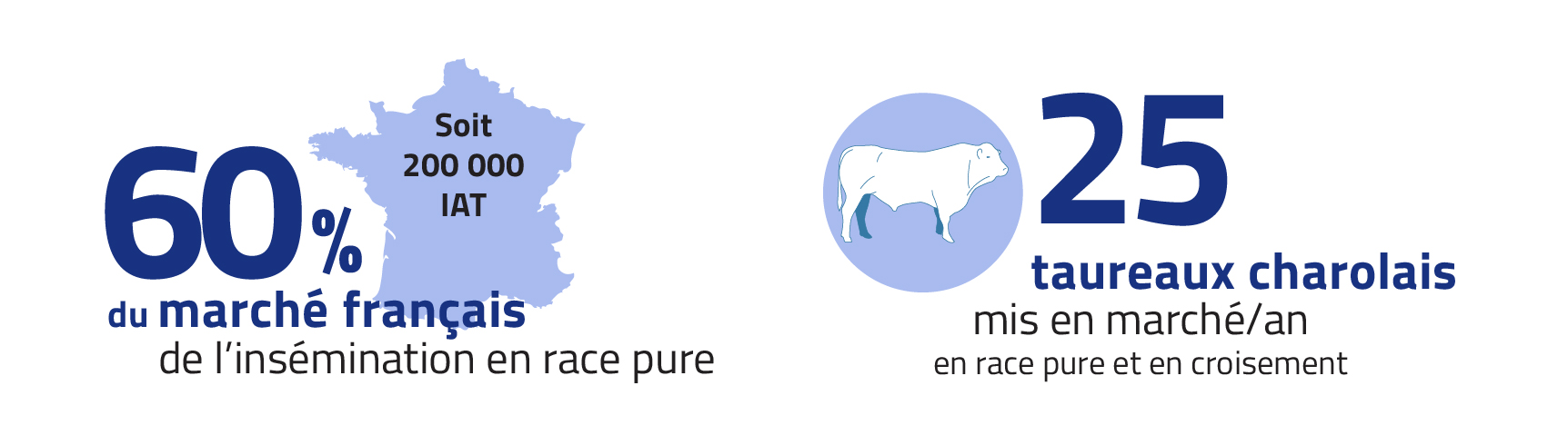 Chiffres clés de l'activité charolaise de Gènes Diffusion