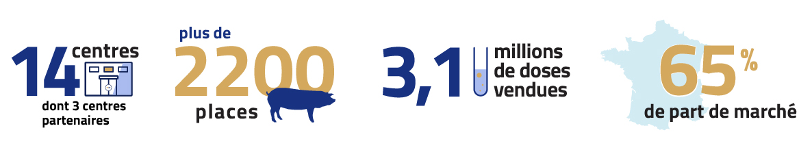 Chiffres Clés Activités Porcine Gènes Diffusion