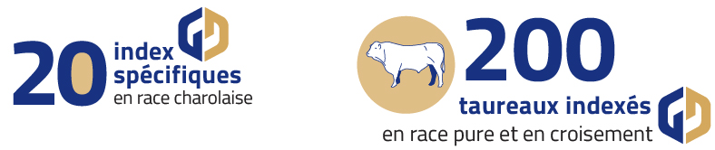 activité bovine.jpg