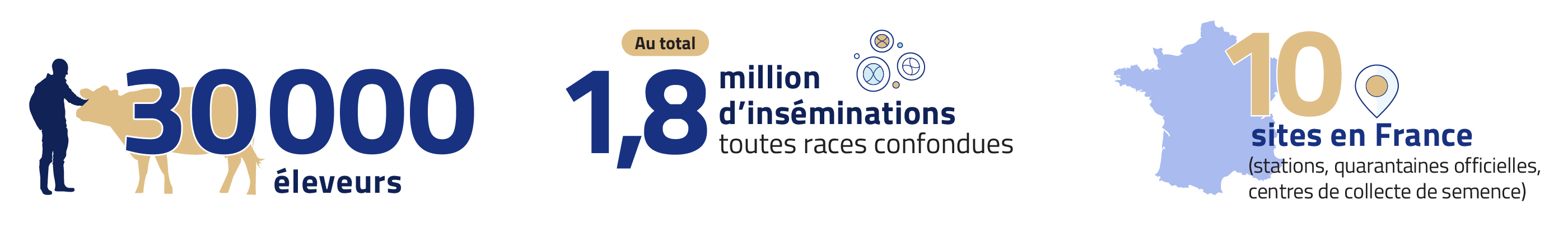 Chiffre clés de l'activité bovine