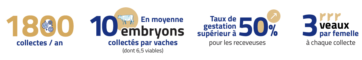 Les chiffres clés de la transplantation embryonnaire à Gènes Diffusion