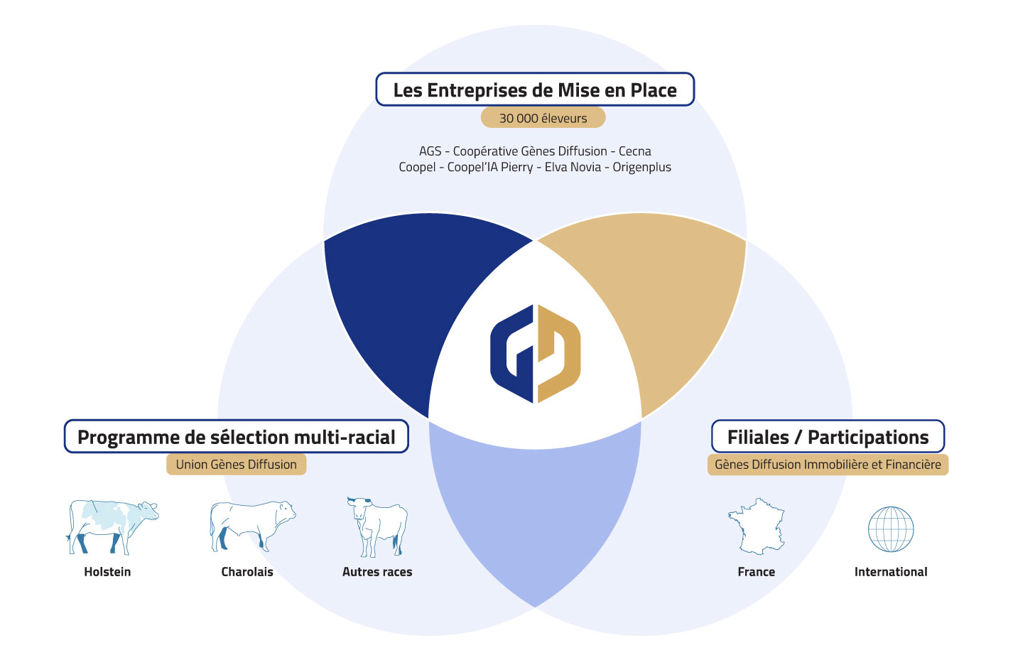 Organisation de l'Union Gènes Diffusion