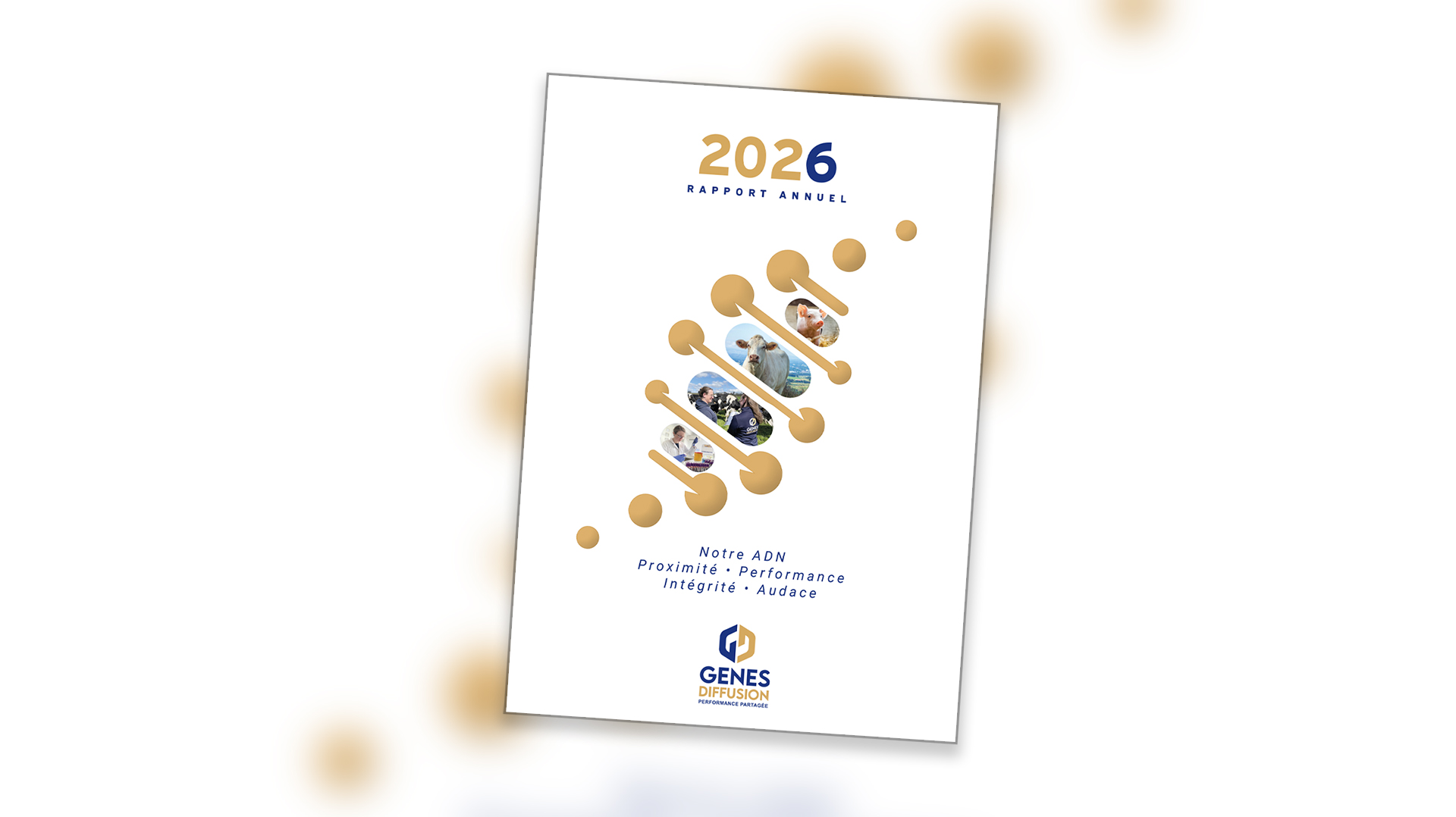 Rapport d'activités 2026