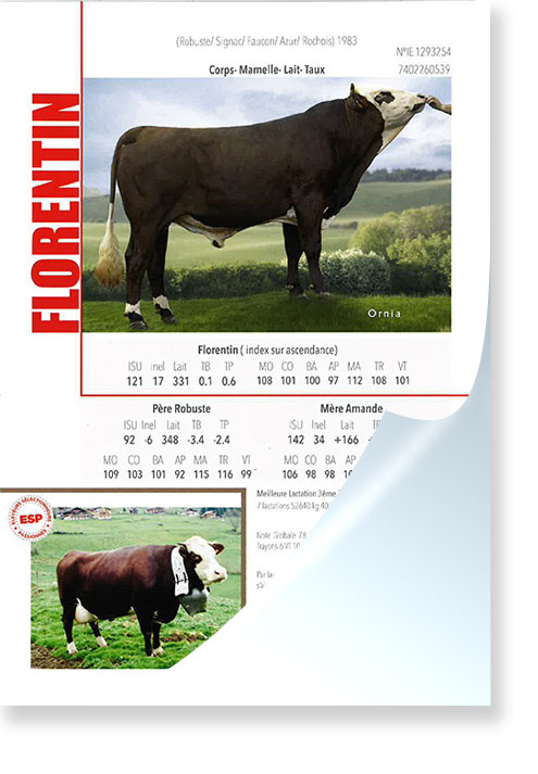 Flyer-ABONDANCE-FLORENTIN.jpg