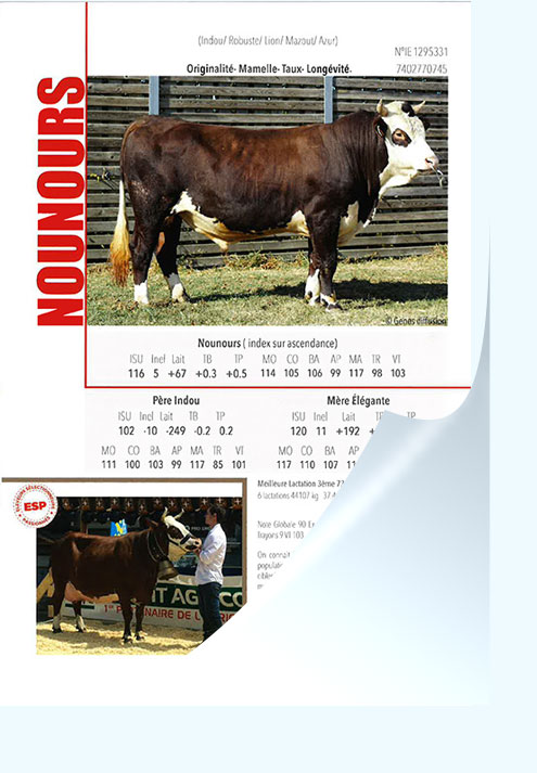 Flyer-ABONDANCE-NOUNOURS.png
