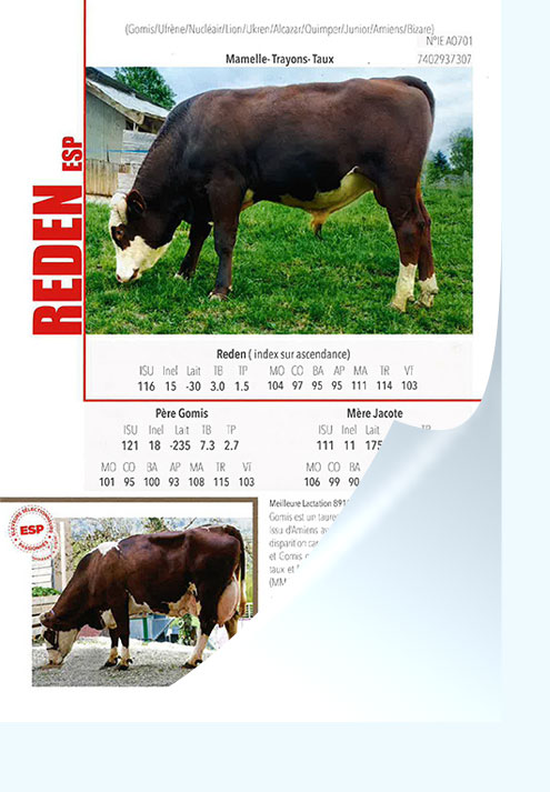 Flyer Reden ESP