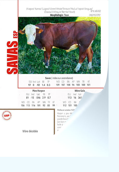 Savas ESP