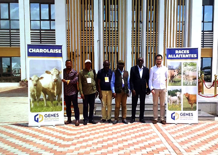 Rencontre distributeurs au Congo