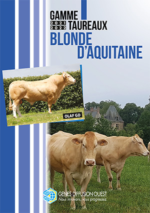 Classification Blonde d'Aquitaine 2021-2022
