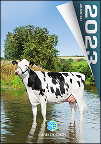 Catalogue Holstein Janvier 2023
