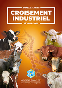 Croisement Industriel - Février 2023