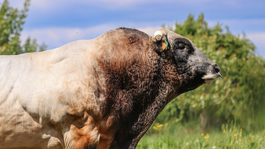 Indexation Parthenaise - Des profils qui confirment et des progressions remarqué