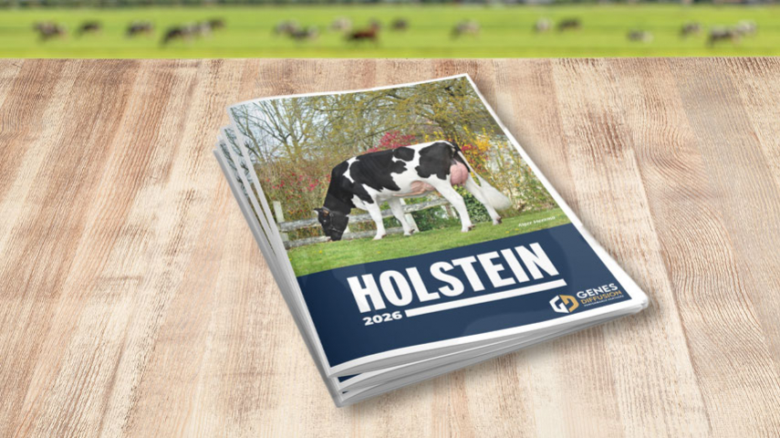 Suite à la dernière indexation, place à une nouvelle offre génétique