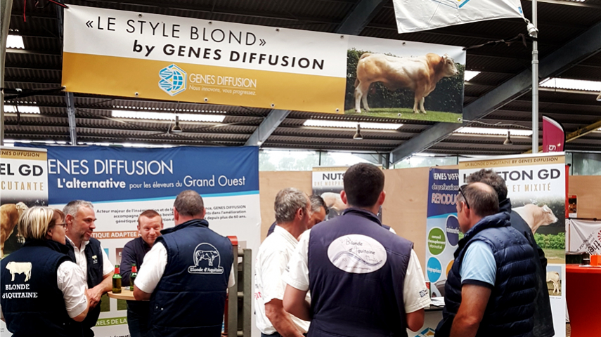 Inter-régional Blonde d'Aquitaine du grand Ouest