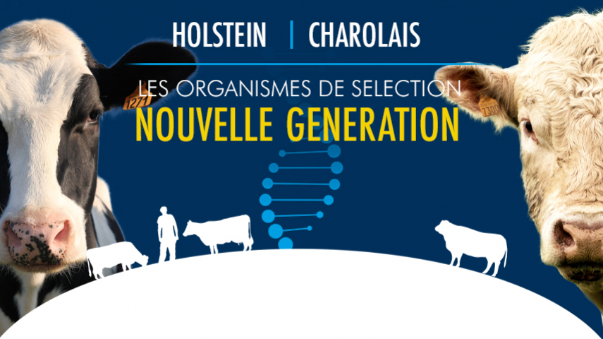 Présentation de l'OS 