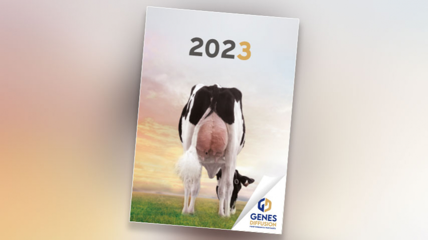 Catalogue Holstein Hiver 2023