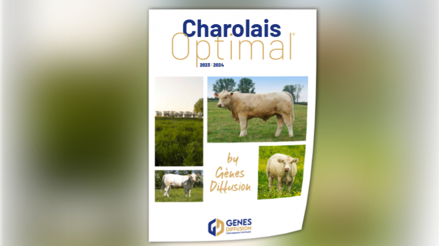 Catalogue Charolais 2023-2024