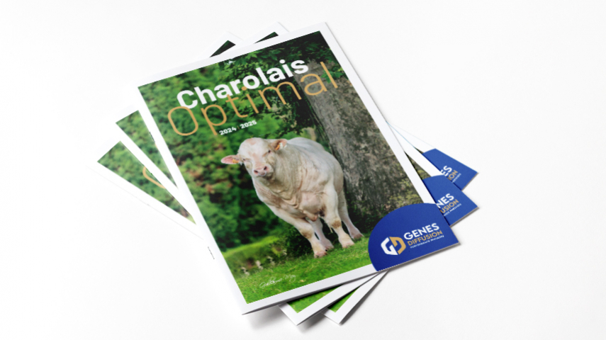 Catalogue Charolais 2023-2024