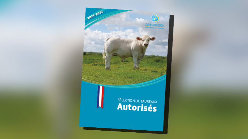 Sélection de taureaux autorisés - 2020-2021