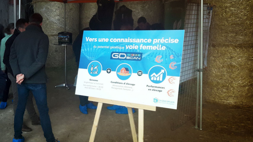 Gènes Diffusion à la journée Ça Veau le détour