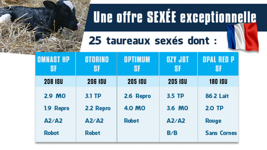 Une offre sexée exceptionnelle